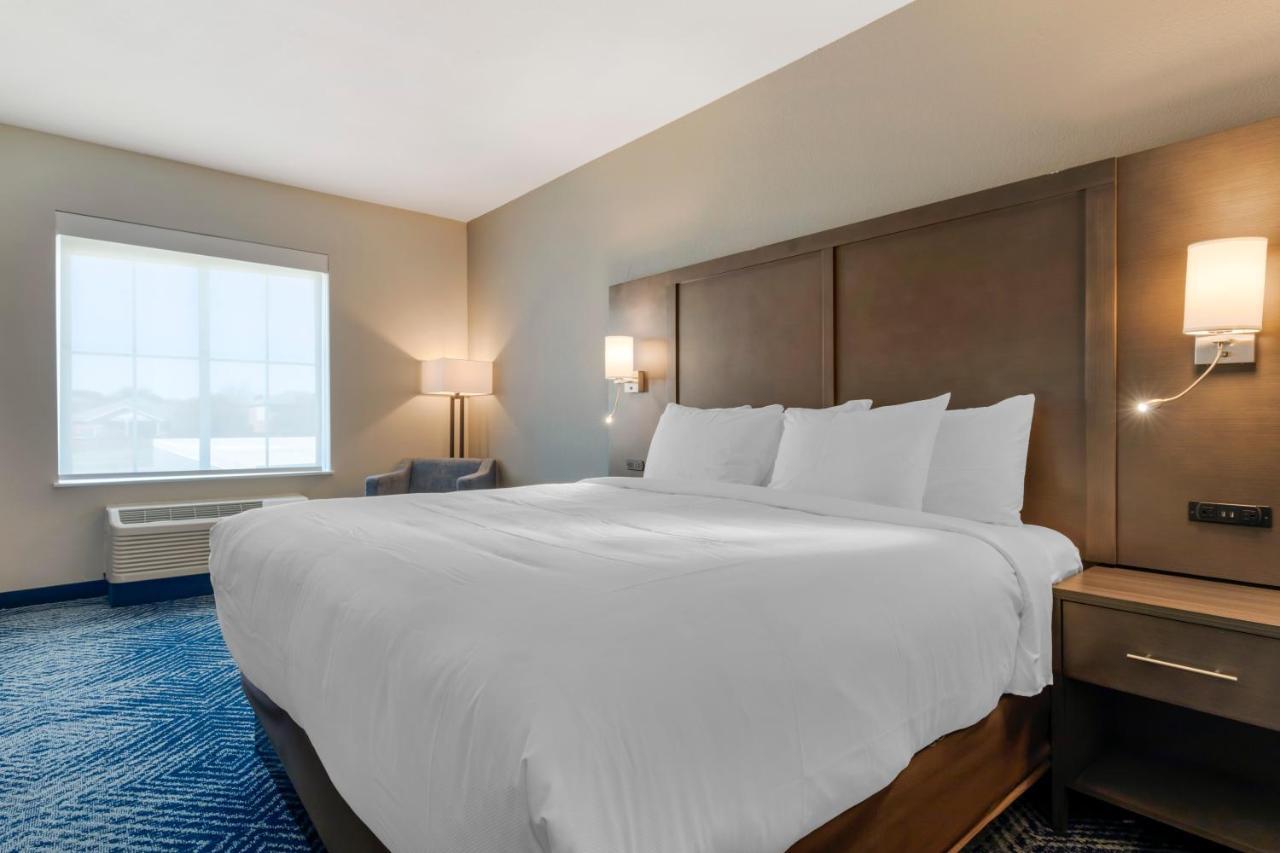 Comfort Inn & Suites Balch Springs - Se Dallas 外观 照片